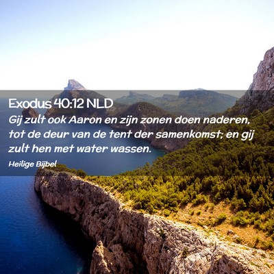 Picture 02 - Exodus 40:12 NLD - Gij zult ook Aaron en zijn zonen doen naderen, - Bible Verse Picture