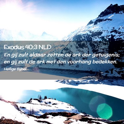 Picture 02 - Exodus 40:3 NLD - En gij zult aldaar zetten de ark der getuigenis; - Bible Verse Picture