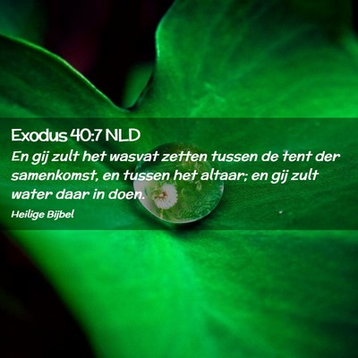 Picture 02 - Exodus 40:7 NLD - En gij zult het wasvat zetten tussen de tent der - Bible Verse Picture