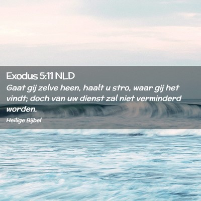 Picture 02 - Exodus 5:11 NLD - Gaat gij zelve heen, haalt u stro, waar gij het - Bible Verse Picture