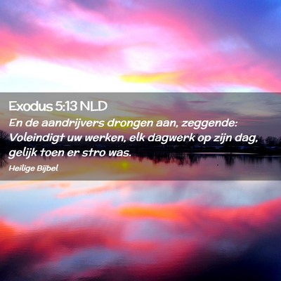 Picture 02 - Exodus 5:13 NLD - En de aandrijvers drongen aan, zeggende: - Bible Verse Picture