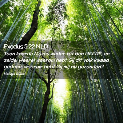 Picture 02 - Exodus 5:22 NLD - Toen keerde Mozes weder tot den HEERE, en zeide: - Bible Verse Picture