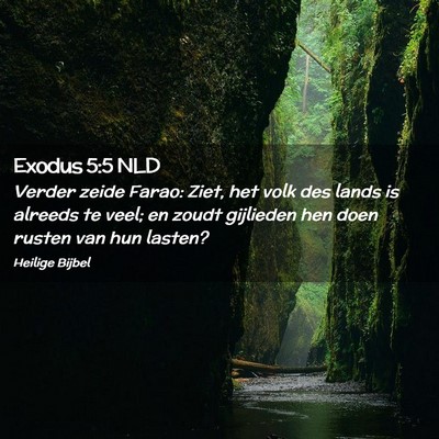 Picture 02 - Exodus 5:5 NLD - Verder zeide Farao: Ziet, het volk des lands is - Bible Verse Picture