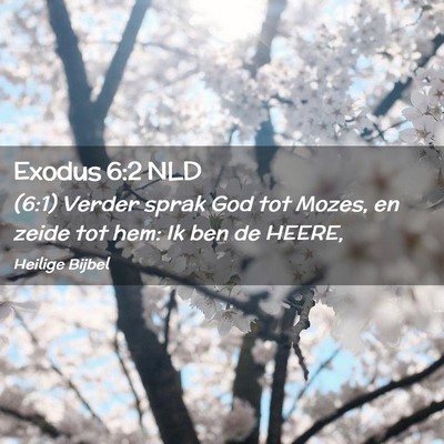 Picture 02 - Exodus 6:2 NLD - (6:1) Verder sprak God tot Mozes, en zeide tot - Bible Verse Picture