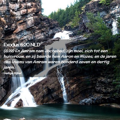 Picture 02 - Exodus 6:20 NLD - (6:19) En Amram nam Jochebed, zijn moei, zich tot - Bible Verse Picture