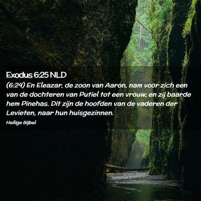 Picture 02 - Exodus 6:25 NLD - (6:24) En Eleazar, de zoon van Aaron, nam voor - Bible Verse Picture