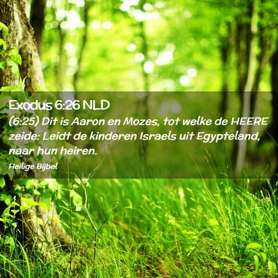 Picture 02 - Exodus 6:26 NLD - (6:25) Dit is Aaron en Mozes, tot welke de HEERE - Bible Verse Picture