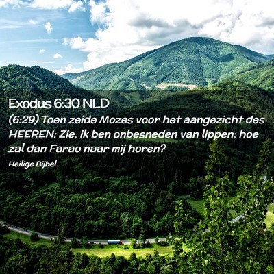 Picture 02 - Exodus 6:30 NLD - (6:29) Toen zeide Mozes voor het aangezicht des - Bible Verse Picture