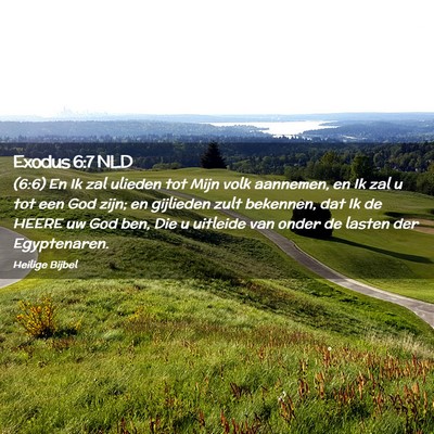 Picture 02 - Exodus 6:7 NLD - (6:6) En Ik zal ulieden tot Mijn volk aannemen, - Bible Verse Picture