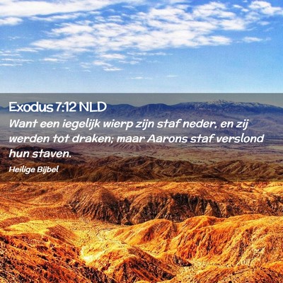 Picture 02 - Exodus 7:12 NLD - Want een iegelijk wierp zijn staf neder, en zij - Bible Verse Picture