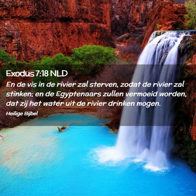 Picture 02 - Exodus 7:18 NLD - En de vis in de rivier zal sterven, zodat de - Bible Verse Picture