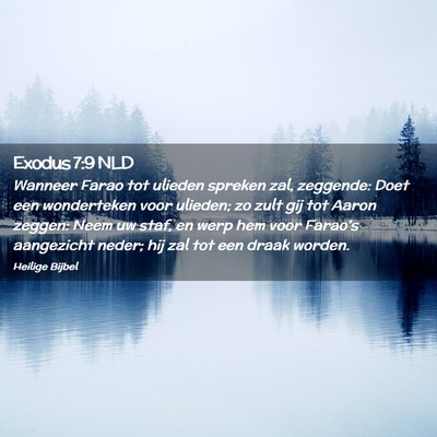 Picture 02 - Exodus 7:9 NLD - Wanneer Farao tot ulieden spreken zal, zeggende: - Bible Verse Picture