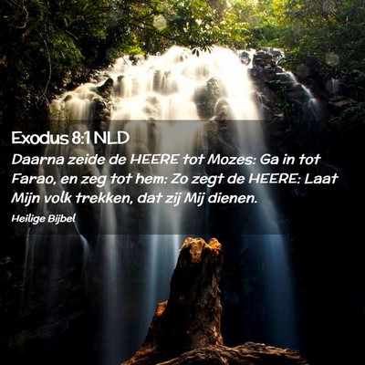 Picture 02 - Exodus 8:1 NLD - Daarna zeide de HEERE tot Mozes: Ga in tot Farao, - Bible Verse Picture
