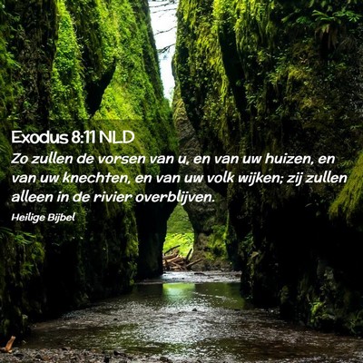 Picture 02 - Exodus 8:11 NLD - Zo zullen de vorsen van u, en van uw huizen, en - Bible Verse Picture