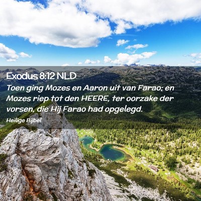 Picture 02 - Exodus 8:12 NLD - Toen ging Mozes en Aaron uit van Farao; en Mozes - Bible Verse Picture