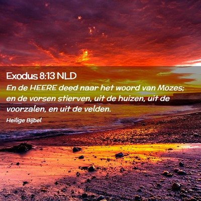 Picture 02 - Exodus 8:13 NLD - En de HEERE deed naar het woord van Mozes; en de - Bible Verse Picture
