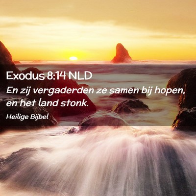 Picture 02 - Exodus 8:14 NLD - En zij vergaderden ze samen bij hopen, en het - Bible Verse Picture
