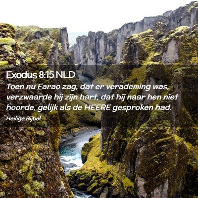Picture 02 - Exodus 8:15 NLD - Toen nu Farao zag, dat er verademing was, - Bible Verse Picture