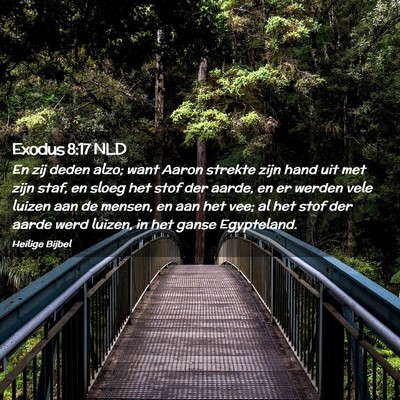 Picture 02 - Exodus 8:17 NLD - En zij deden alzo; want Aaron strekte zijn hand - Bible Verse Picture