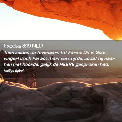 Picture 02 - Exodus 8:19 NLD - Toen zeiden de tovenaars tot Farao: Dit is Gods - Bible Verse Picture
