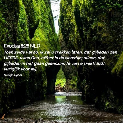 Picture 02 - Exodus 8:28 NLD - Toen zeide Farao: Ik zal u trekken laten, dat - Bible Verse Picture