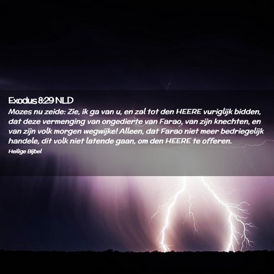 Picture 02 - Exodus 8:29 NLD - Mozes nu zeide: Zie, ik ga van u, en zal tot den - Bible Verse Picture