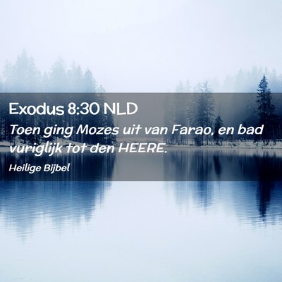 Picture 02 - Exodus 8:30 NLD - Toen ging Mozes uit van Farao, en bad vuriglijk - Bible Verse Picture