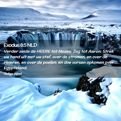 Picture 02 - Exodus 8:5 NLD - Verder zeide de HEERE tot Mozes: Zeg tot Aaron: - Bible Verse Picture