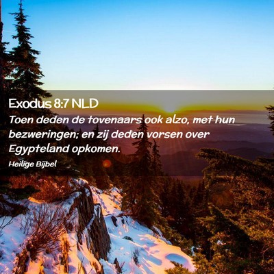 Picture 02 - Exodus 8:7 NLD - Toen deden de tovenaars ook alzo, met hun - Bible Verse Picture