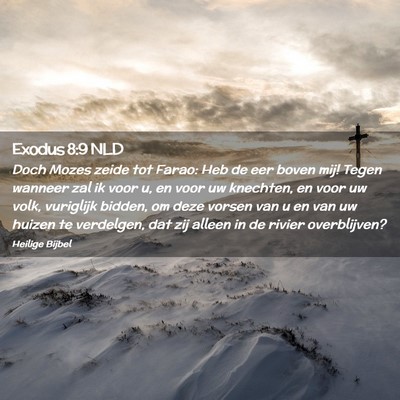 Picture 02 - Exodus 8:9 NLD - Doch Mozes zeide tot Farao: Heb de eer boven mij! - Bible Verse Picture