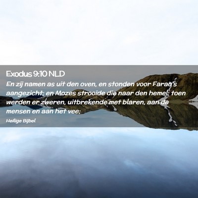 Picture 02 - Exodus 9:10 NLD - En zij namen as uit den oven, en stonden voor - Bible Verse Picture