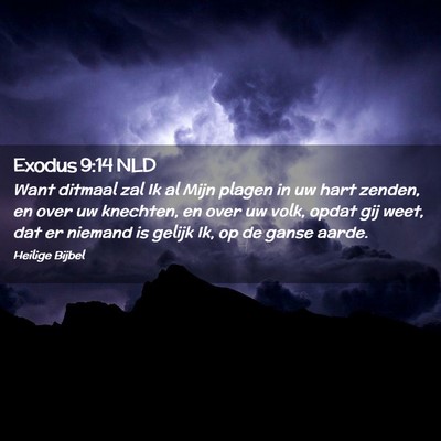Picture 02 - Exodus 9:14 NLD - Want ditmaal zal Ik al Mijn plagen in uw hart - Bible Verse Picture