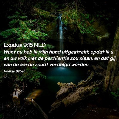 Picture 02 - Exodus 9:15 NLD - Want nu heb Ik Mijn hand uitgestrekt, opdat Ik u - Bible Verse Picture