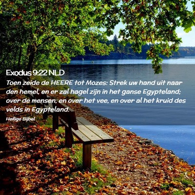 Picture 02 - Exodus 9:22 NLD - Toen zeide de HEERE tot Mozes: Strek uw hand uit - Bible Verse Picture
