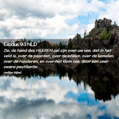 Picture 02 - Exodus 9:3 NLD - Zie, de hand des HEEREN zal zijn over uw vee, dat - Bible Verse Picture