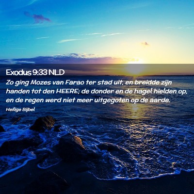 Picture 02 - Exodus 9:33 NLD - Zo ging Mozes van Farao ter stad uit, en breidde - Bible Verse Picture