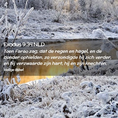 Picture 02 - Exodus 9:34 NLD - Toen Farao zag, dat de regen en hagel, en de - Bible Verse Picture