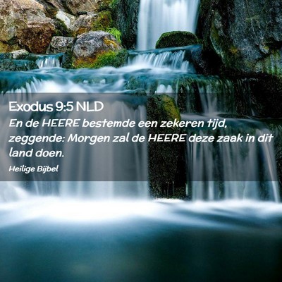 Picture 02 - Exodus 9:5 NLD - En de HEERE bestemde een zekeren tijd, zeggende: - Bible Verse Picture