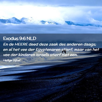 Picture 02 - Exodus 9:6 NLD - En de HEERE deed deze zaak des anderen daags; en - Bible Verse Picture
