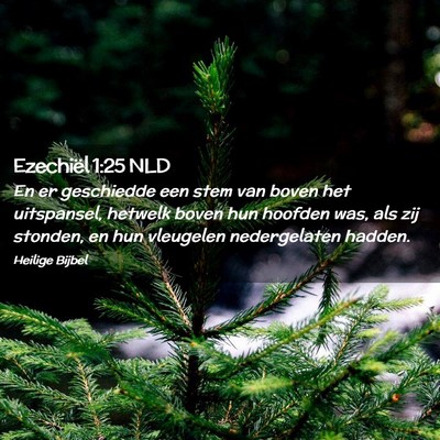Picture 02 - Ezechiël 1:25 NLD - En er geschiedde een stem van boven het - Bible Verse Picture