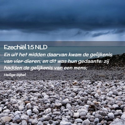 Picture 02 - Ezechiël 1:5 NLD - En uit het midden daarvan kwam de gelijkenis van - Bible Verse Picture