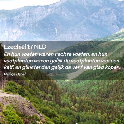 Picture 02 - Ezechiël 1:7 NLD - En hun voeten waren rechte voeten, en hun - Bible Verse Picture