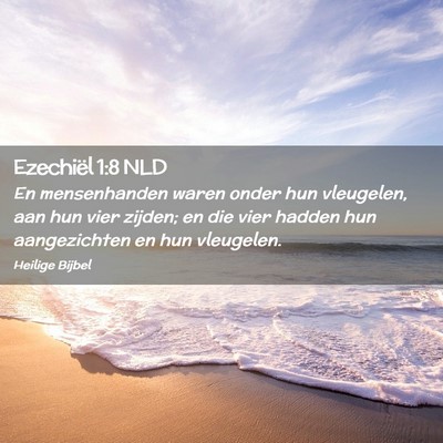 Picture 02 - Ezechiël 1:8 NLD - En mensenhanden waren onder hun vleugelen, aan - Bible Verse Picture