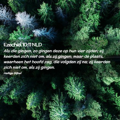Picture 02 - Ezechiël 10:11 NLD - Als die gingen, zo gingen deze op hun vier - Bible Verse Picture