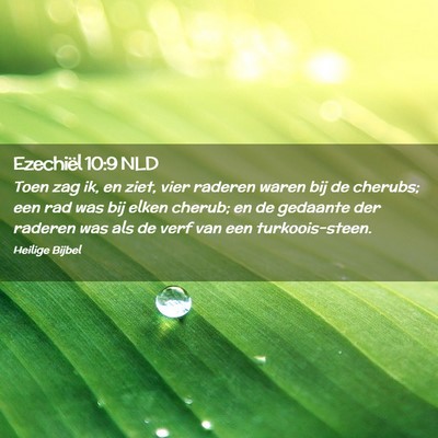 Picture 02 - Ezechiël 10:9 NLD - Toen zag ik, en ziet, vier raderen waren bij de - Bible Verse Picture