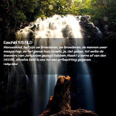 Picture 02 - Ezechiël 11:15 NLD - Mensenkind, het zijn uw broederen, uw broederen, - Bible Verse Picture