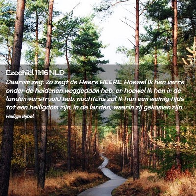 Picture 02 - Ezechiël 11:16 NLD - Daarom zeg: Zo zegt de Heere HEERE: Hoewel Ik hen - Bible Verse Picture