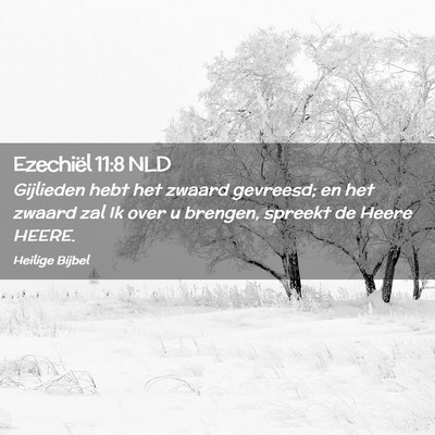 Picture 02 - Ezechiël 11:8 NLD - Gijlieden hebt het zwaard gevreesd; en het zwaard - Bible Verse Picture