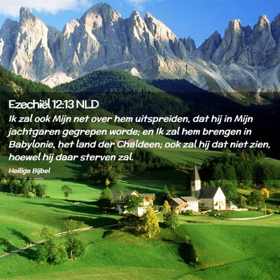 Picture 02 - Ezechiël 12:13 NLD - Ik zal ook Mijn net over hem uitspreiden, dat hij - Bible Verse Picture