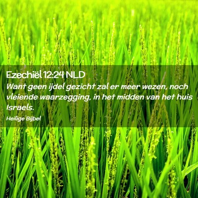 Picture 02 - Ezechiël 12:24 NLD - Want geen ijdel gezicht zal er meer wezen, noch - Bible Verse Picture